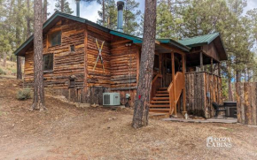 Cozy Woods Cabin
